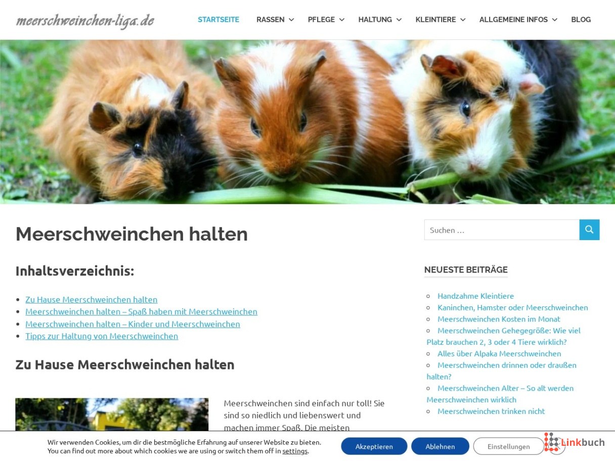 Zu Hause Meerschweinchen halten