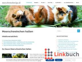 Vorschau auf Zu Hause Meerschweinchen halten